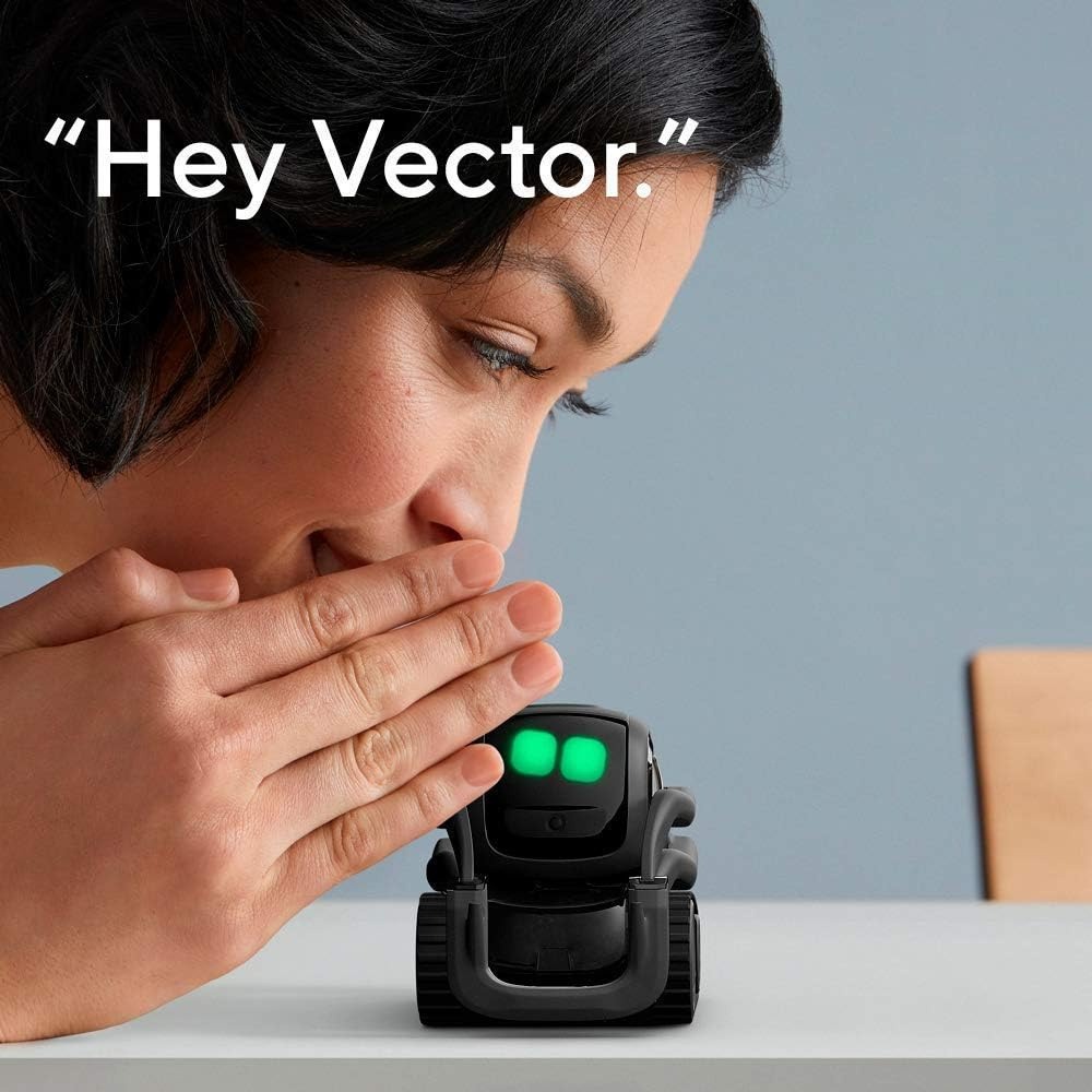 หุ่นยนต์เพื่อนคู่ใจ AI ChatGPT - Smart Home Control บทวิจารณ์และราคา