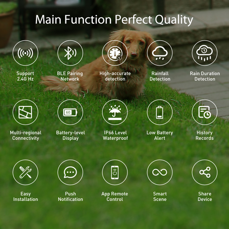 เซ็นเซอร์ตรวจจับฝนแบบ WiFi ตรว - Smart Home Iot บทวิจารณ์และราคา