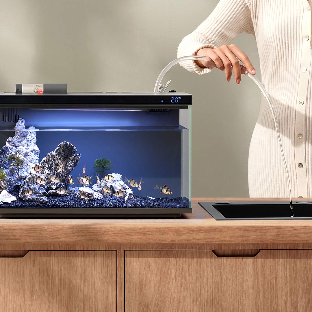 Xiaomi Mijia สมาร์ทถังปลา MYG1 - Smart Home Xiaomi Devices บทวิจารณ์และราคา